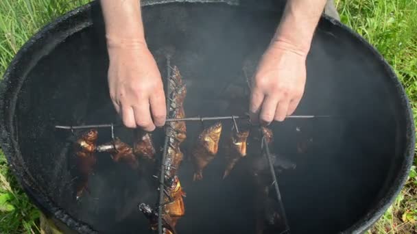 Gourmet smoked fish — Stock Video