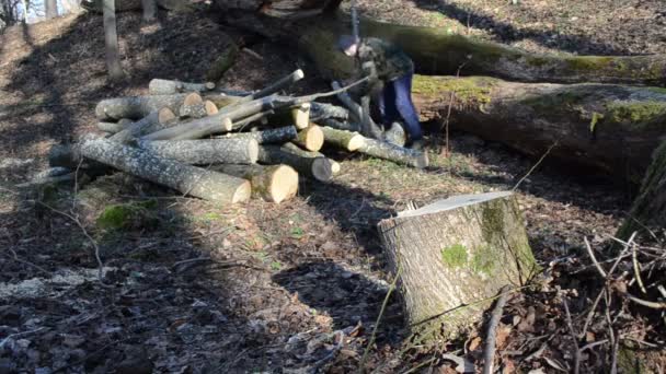 Pracownik uchwyty cięcia stosy dzienniki w lesie na wiosnę — Wideo stockowe