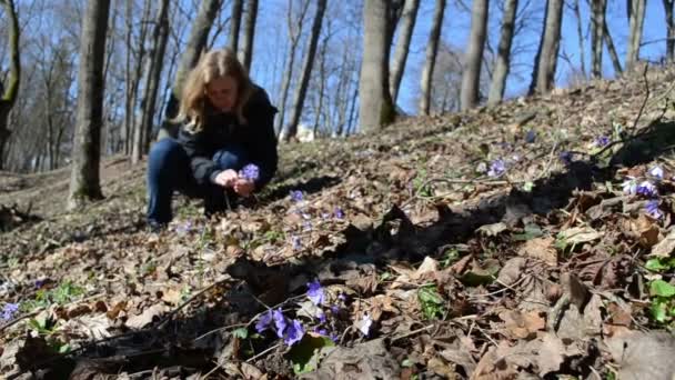 Flicka knäböj i skogen skördar violett i tidigt på morgonen — Stockvideo