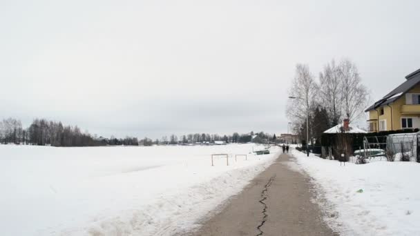 Barca albero invernale lago — Video Stock