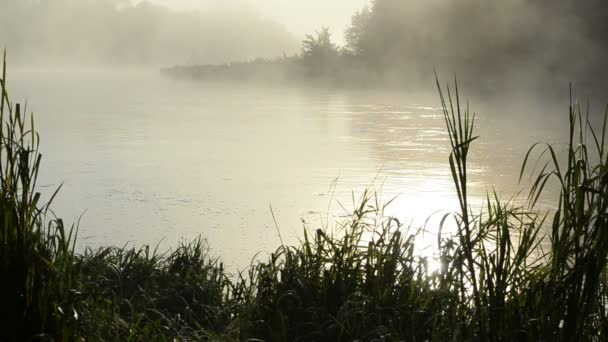 Sunrise river water fog — Stock Video