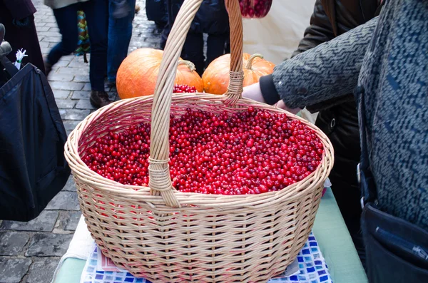 Rieten mand cranberry markt ecologische dieetvoeding — Stockfoto