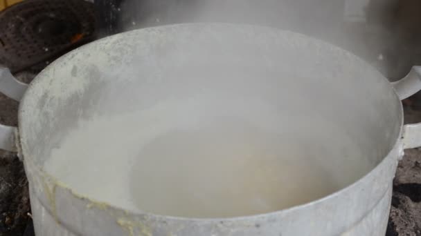 Peas boil steel pot — Stock Video