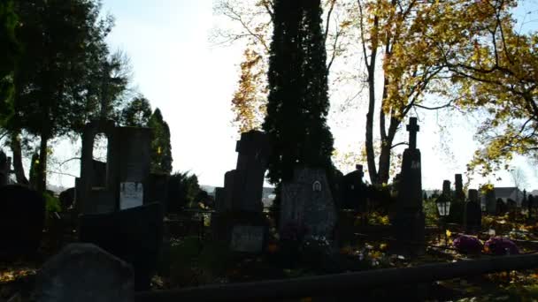 Monumento al cementerio brillante — Vídeo de stock