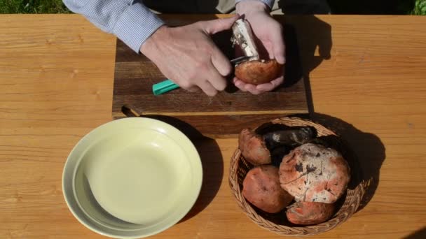 Ручний ніж чистий гриб — стокове відео