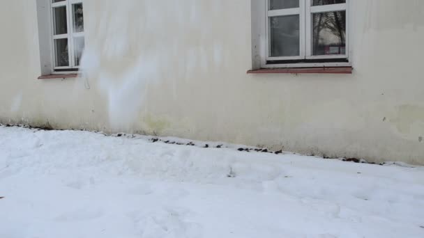 Schnee fallen Boden Dach — Stockvideo