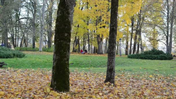 People relax autumn park — Stockvideo