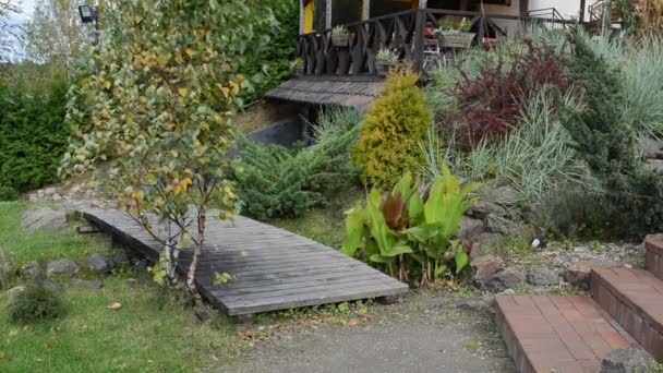 Restaurang träd vind blad — Stockvideo