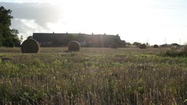 Straw roll farm building — Stock Video