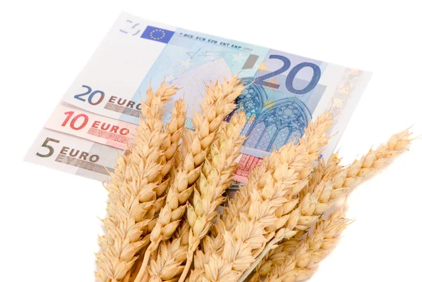 Ώριμα συγκομιδή σιταριού αυτιά τραπεζογραμματίων ευρώ που απομονώνονται — Φωτογραφία Αρχείου