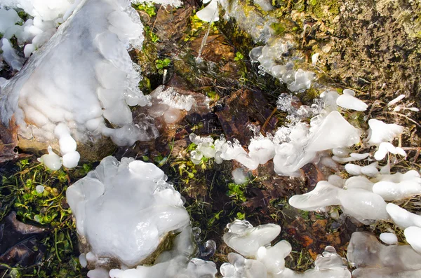 Капли замороженной воды на зеленой траве — стоковое фото