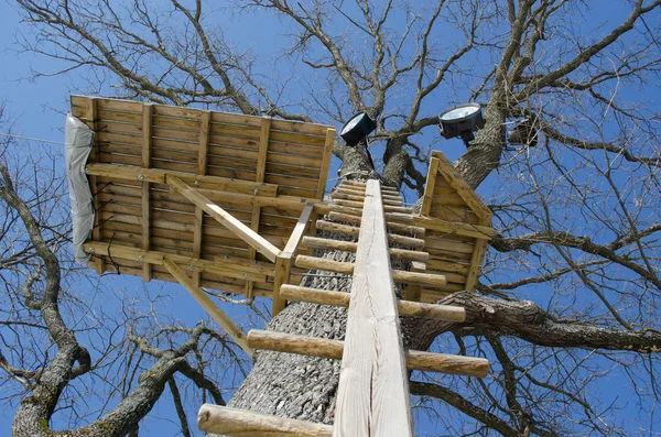 Escada de madeira pregado árvore velha tronco playground local — Fotografia de Stock