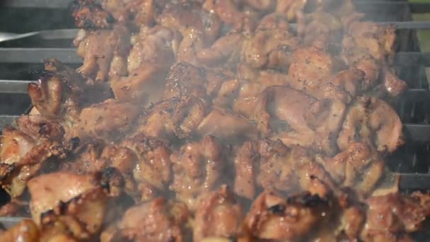 Smoke meat bake heat — Stock Video