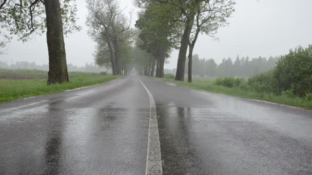 Eau de pluie sur asphalte — Video