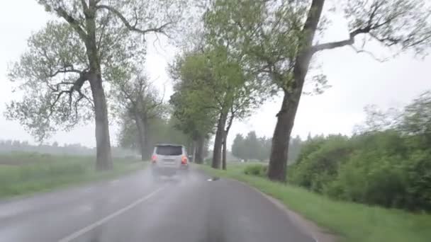 Agua de lluvia sobre asfalto — Vídeos de Stock