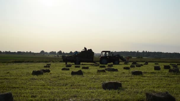 Landwirt erntet Heuballen — Stockvideo