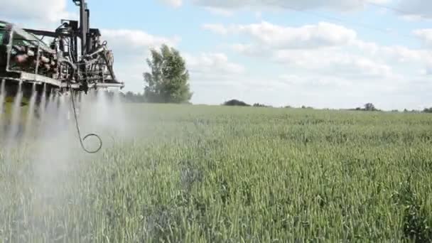 Chemická ochrana plevel — Stock video