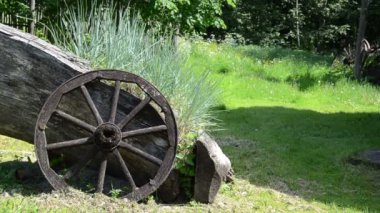 sedges tahta tekerlek