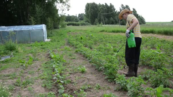 Garden potato spraying — Stock Video