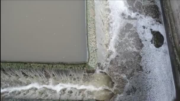 Vodní tok sedimentace — Stock video