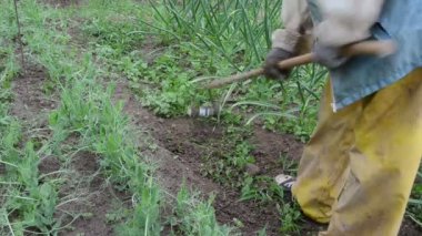 weeder