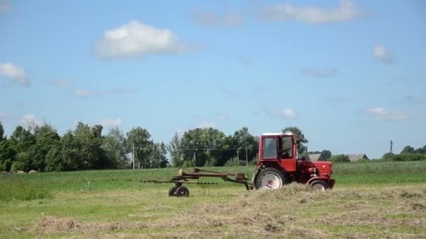 Campo de heno con tractor — Vídeo de stock