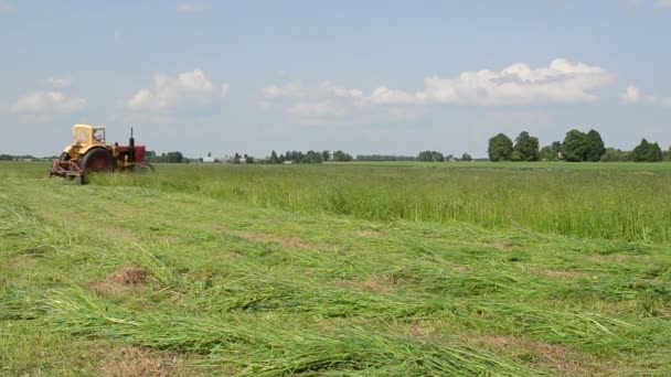 Grass tufts trekker — Stockvideo