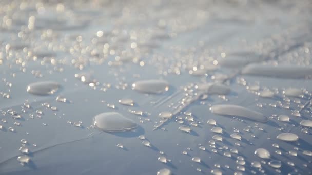 Gota de agua luz solar — Vídeo de stock