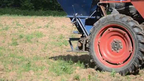 Máquina sembradora de semillas campo — Vídeo de stock