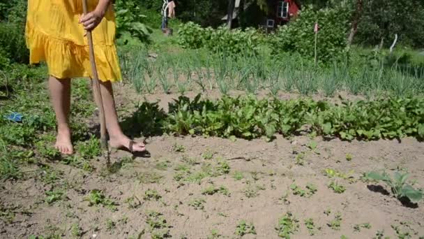 Descalza mujer grub hierba — Vídeo de stock