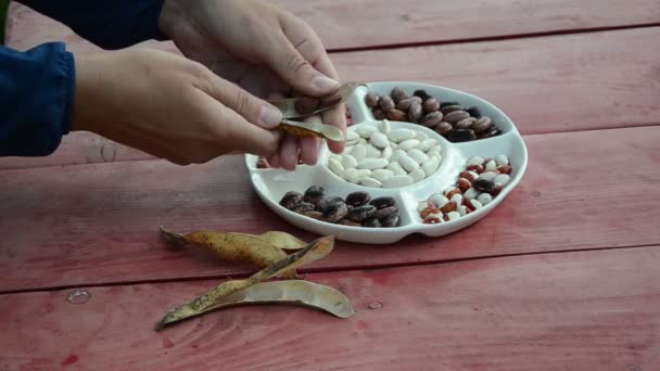 Händer skalet bean — Stockvideo