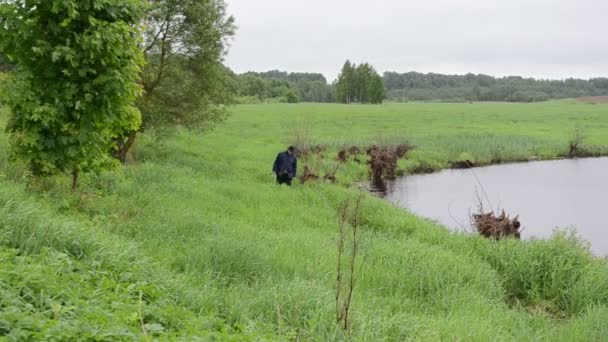 Fischer Fluss Schwan Vogel — Stockvideo