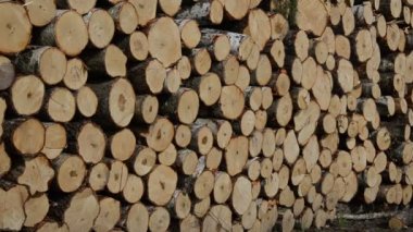 yakacak odun odun yakıt günlüğe kaydeder.