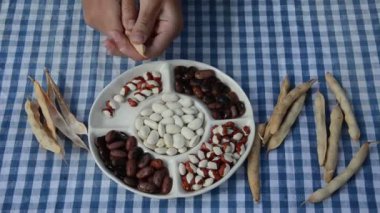 çeşitli fasulye plaka