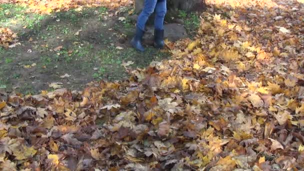 Dívka hrábě suché listí — Stock video