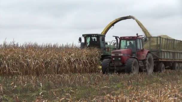 Tractor de cosecha de maíz — Vídeo de stock