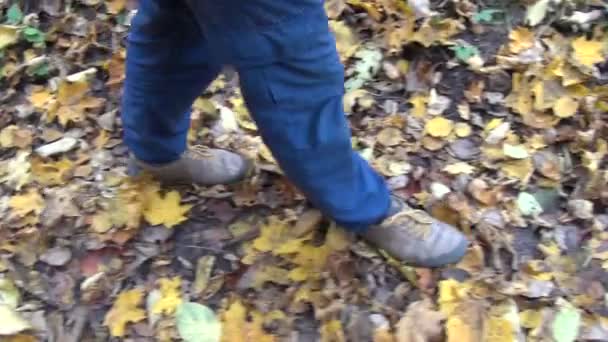 男人腿秋天的叶子 — 图库视频影像
