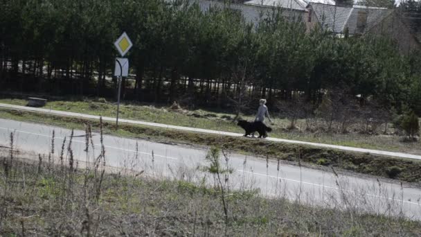 Mädchen großer schwarzer Hund — Stockvideo