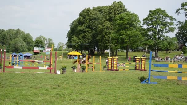 Barrière rider paardenrace — Stockvideo