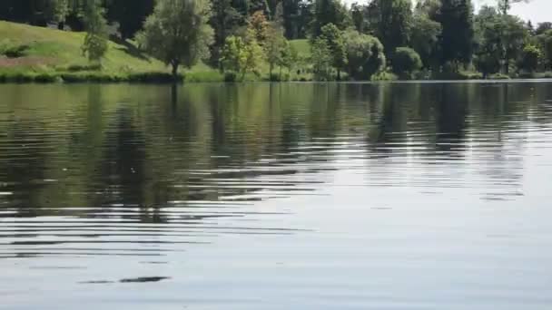 Landskap från båt — Stockvideo