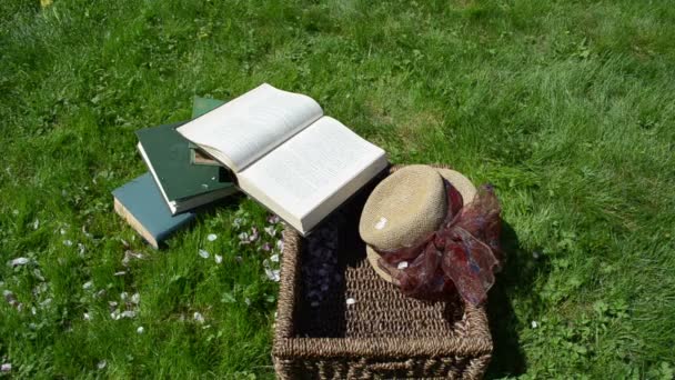 Books hat basket petal — Stock Video