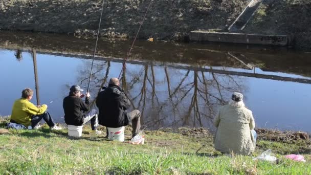 Fishermen stream fishing — Stock Video