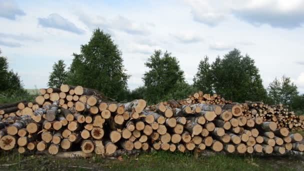 Madera troncos de combustible pila — Vídeo de stock