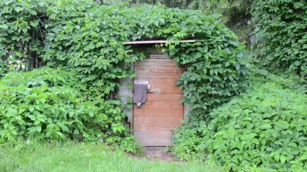 Puerta del sótano — Vídeos de Stock