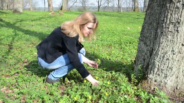Жінка вибирає лісові квіти — стокове відео