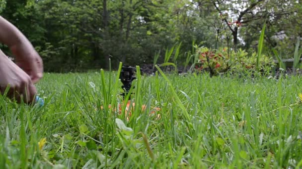 Schlauchstecker Handsprüher — Stockvideo