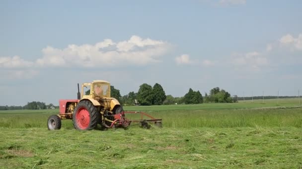 Traktor mäht Gras — Stockvideo