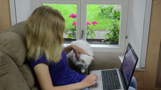 Businesswoman laptop cat — Stock Video