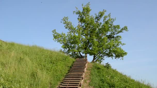 Wooden stairs hill — Stock Video