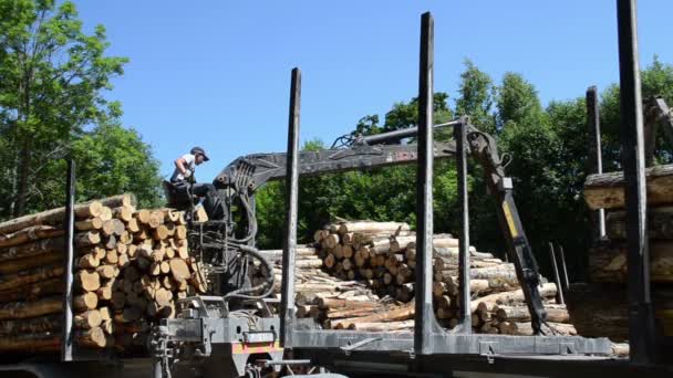 Man belasting aanhangwagen hout log — Stockvideo